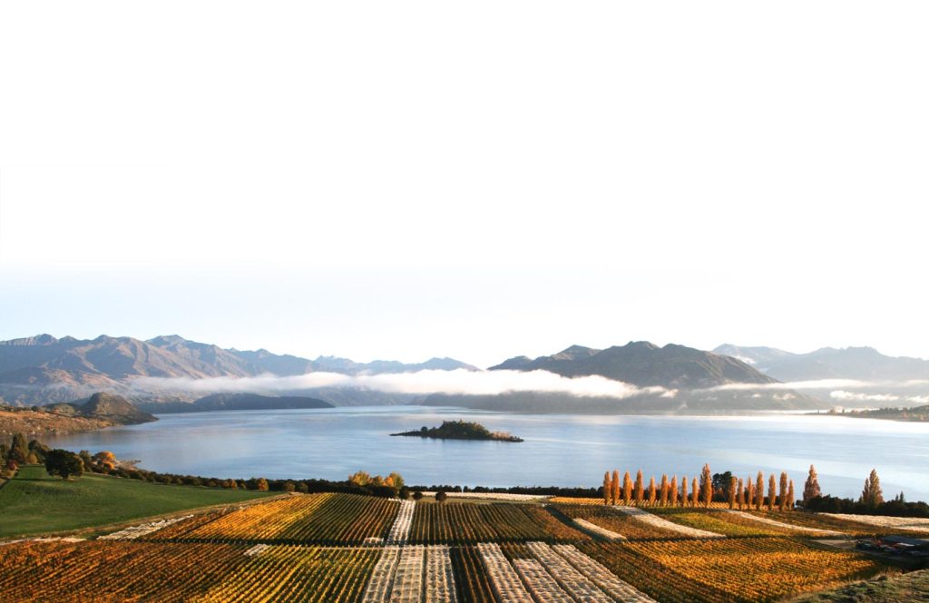Rippon Vineyards - photo courtesy of Rippon