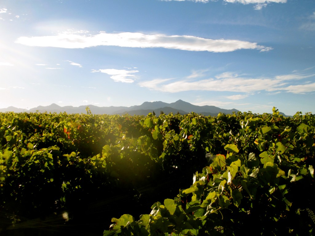 Fromm Where You'd Rather Be - photo by The Wine Idealist