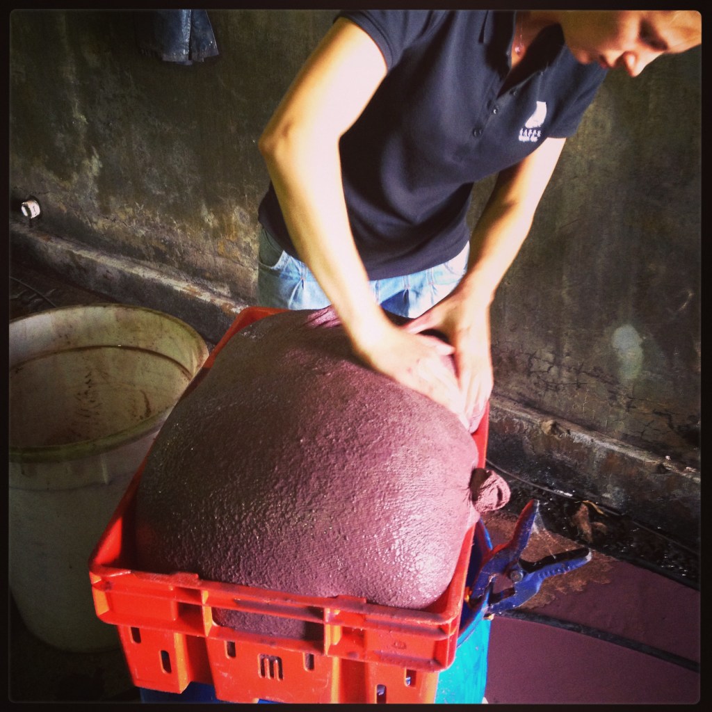 Bastardo Press - photo courtesy of Amato Vino