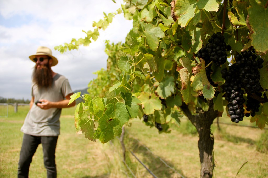 Pete Windrim - photo by The Wine Idealist