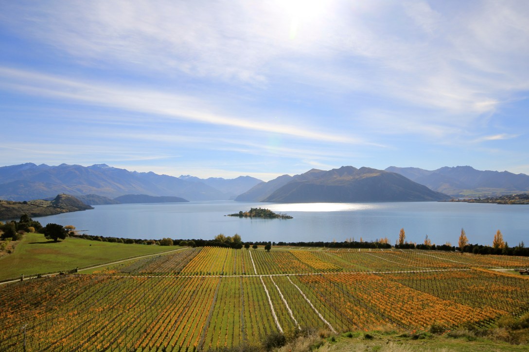 Rippon, Wanaka - photo by The Wine Idealist