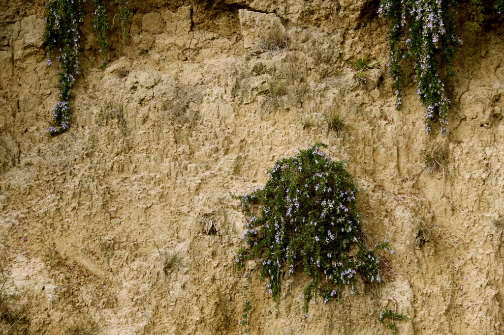 Clay, Sandstone over Limestone - photo by The Wine Idealist