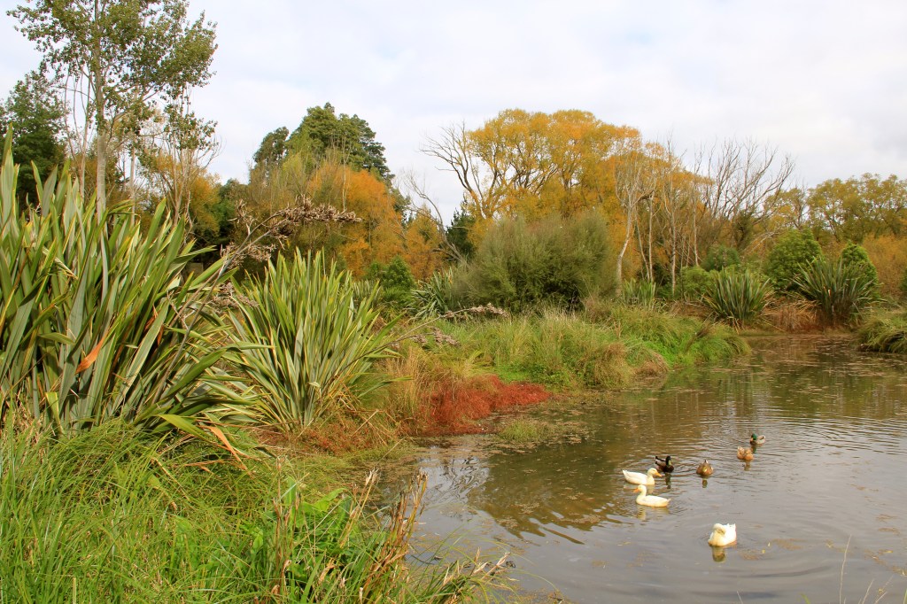 Gladstone Vineyards wetlands - photo by The Wine Idealist