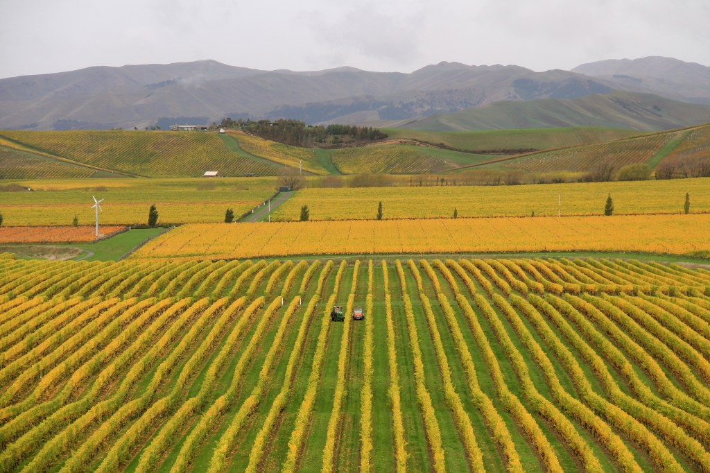 Brancott Estate, Marlborough - photo by The Wine Idealist