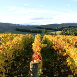 ‘Transcendence’ – Pyramid Valley, Waikari, New Zealand (Part Two)