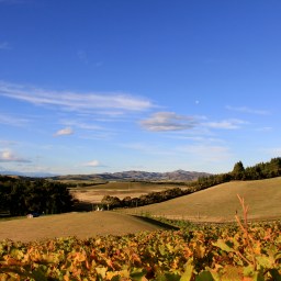‘The Empyrean’ – Pyramid Valley, North Canterbury, New Zealand (Part One)