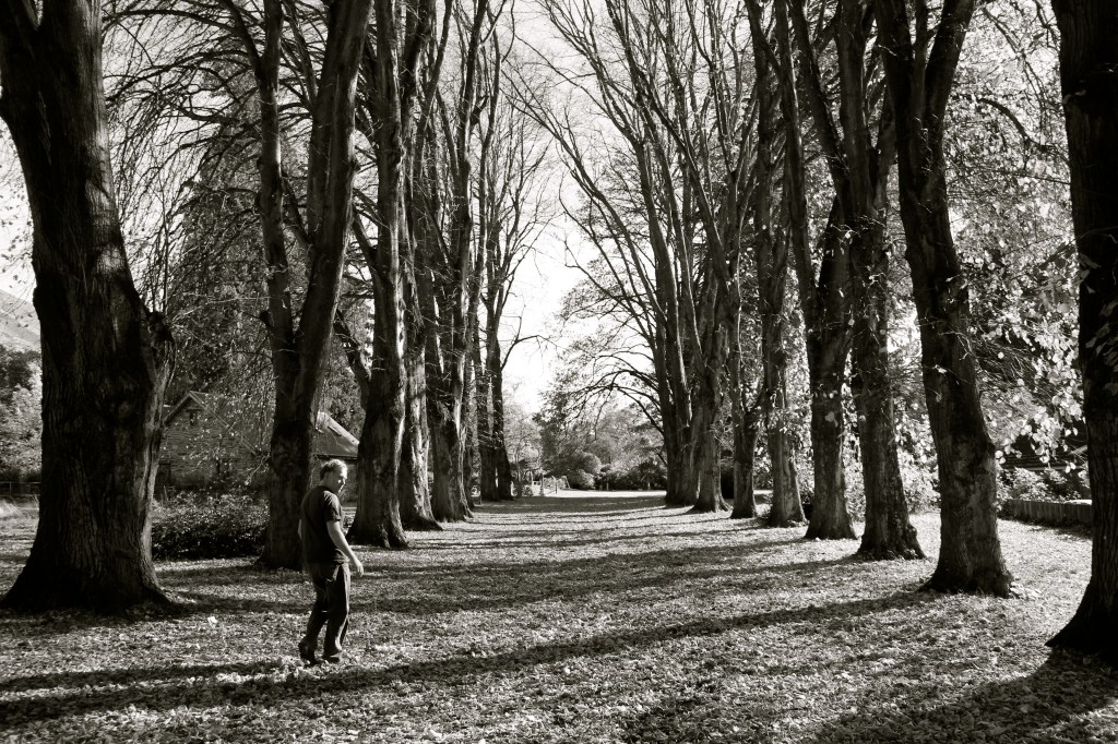 Walk Wanaka Station Woods - photo by The Wine Idealist [Click To Buy!]