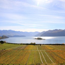 ‘Articulating Place’ – Rippon, Wanaka, New Zealand