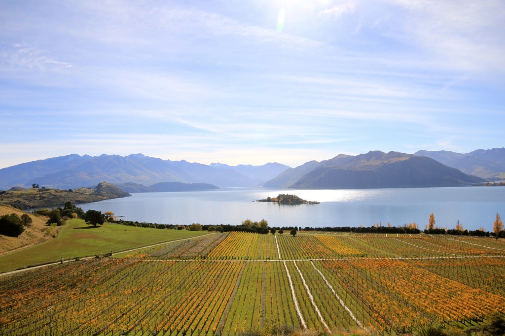 Rippon - photo by The Wine Idealist [Click To Buy!]
