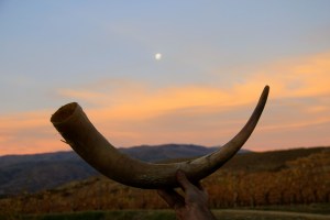 HANG THIS ON YOUR WALL!