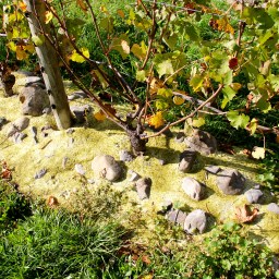 ‘Fortunate Futures’ – Ata Rangi Martinborough N.Z.