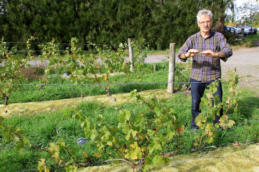 Winegrower, Clive Paton - photo by The Wine Idealist