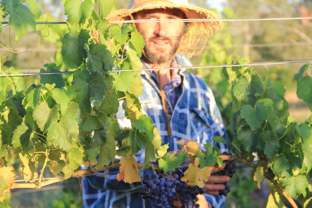 Sam Statham - photo by The Wine Idealist